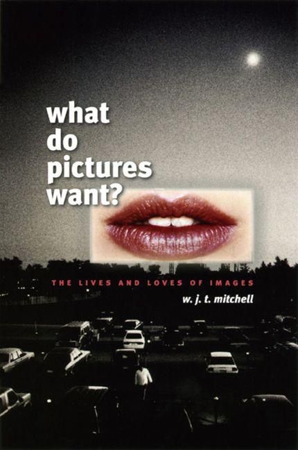 Produktbild: What Do Pictures Want?