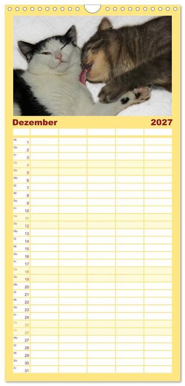 Produktbild: Familienplaner 2027 - Die Launen der Katzen 2027 mit 5 Spalten (Wandkalender, 21 x 45 cm) CALVENDO