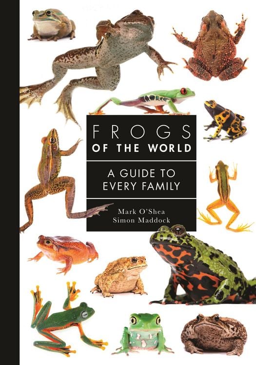 Produktbild: Frogs of the World