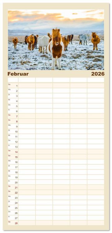 Produktbild: Familienplaner 2026 - Islandpferde - Die s&uuml;&szlig;en Pferde im Norden. mit 5 Spalten (Wandkalender, 21 x 45 cm) CALVENDO
