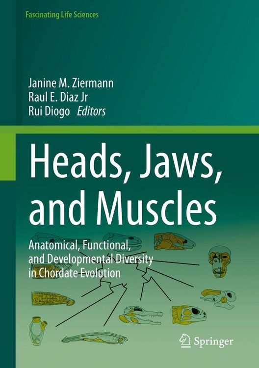 Produktbild: Heads, Jaws, and Muscles
