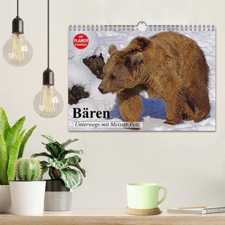 Produktbild: B&auml;ren. Unterwegs mit Meister Petz (Wandkalender 2026 DIN A4 quer), CALVENDO Monatskalender