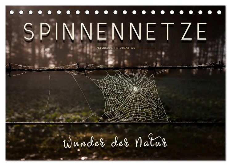 Produktbild: Spinnennetze - Wunder der Natur (Tischkalender 2026 DIN A5 quer), CALVENDO Monatskalender