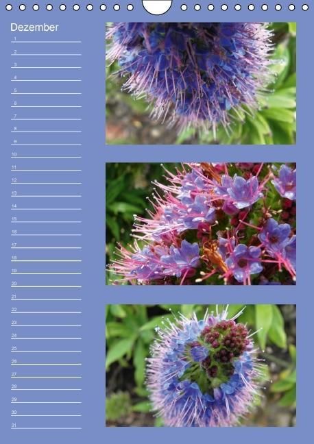 Produktbild: Zauberwelt der Blumen - Eiskristalle & Wasserperlen / Geburtstagskalender (Wandkalender immerw&auml;hrend DIN A4 hoch)