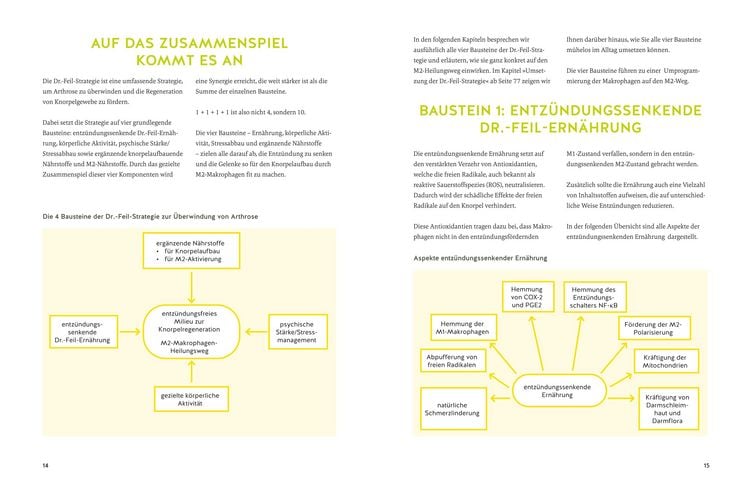 Produktbild: Arthrose endlich heilen