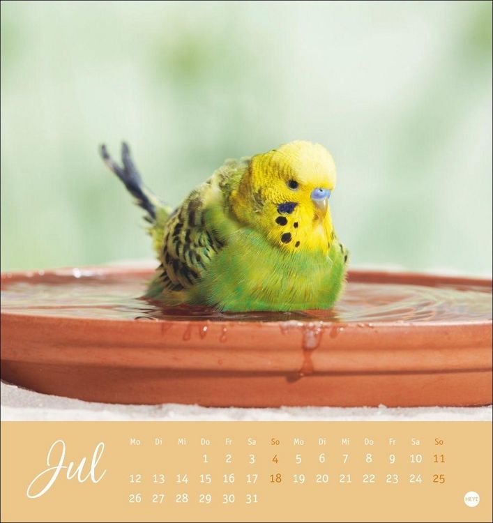 Produktbild: Freche Wellensittiche Postkartenkalender 2027