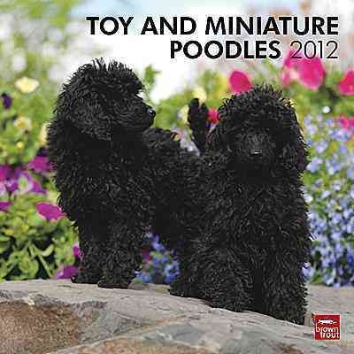 Produktbild: Toy and Miniature Poodles 2012