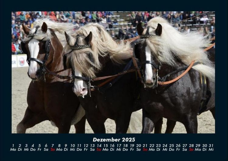 Produktbild: Die Welt der Pferde 2025 Fotokalender DIN A4
