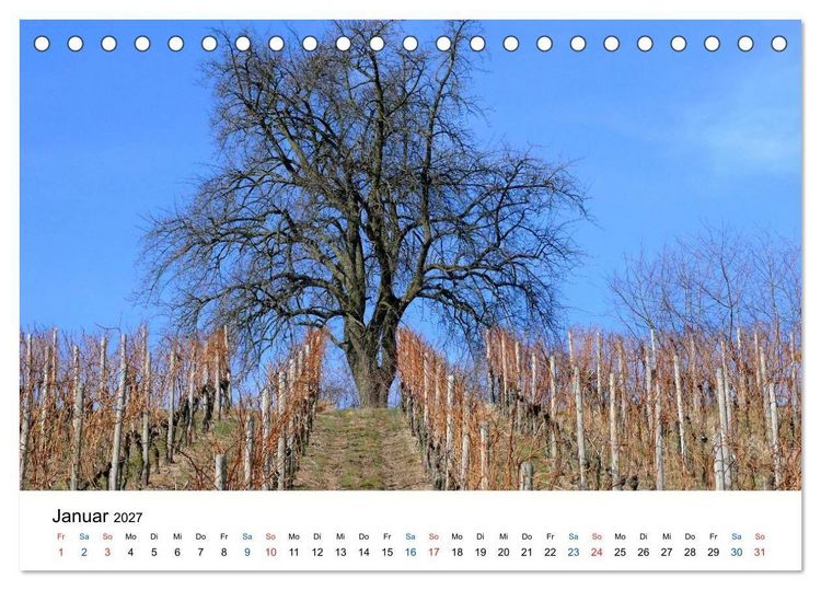Produktbild: W&uuml;rttemberger Wein 2027 (Tischkalender 2027 DIN A5 quer), CALVENDO Monatskalender