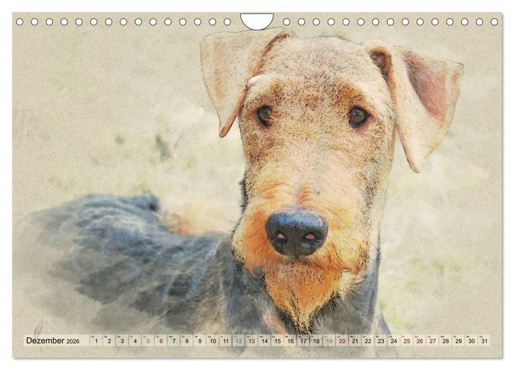Produktbild: Airedale Terrier 2026 (Wandkalender 2026 DIN A4 quer), CALVENDO Monatskalender
