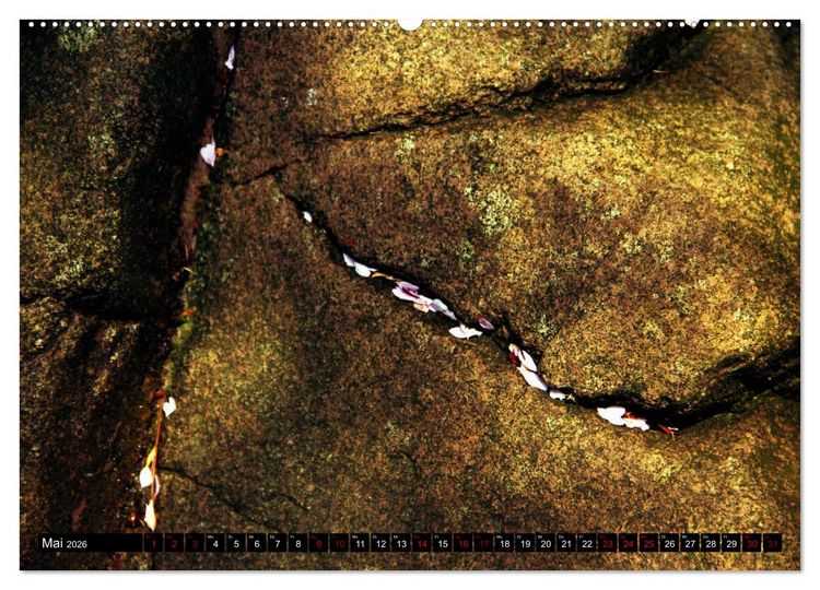 Produktbild: Japan - Details (Wandkalender 2026 DIN A2 quer), CALVENDO Monatskalender