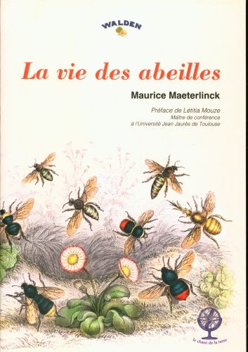 Produktbild: La vie des abeilles