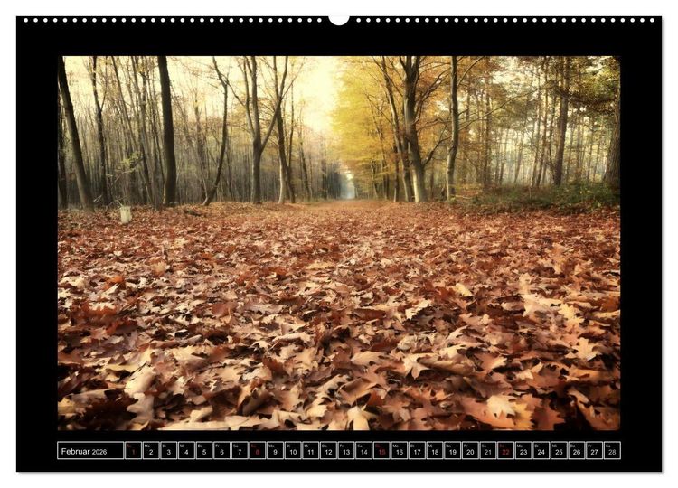 Produktbild: Der Reichswald bei Kleve (Wandkalender 2026 DIN A2 quer), CALVENDO Monatskalender