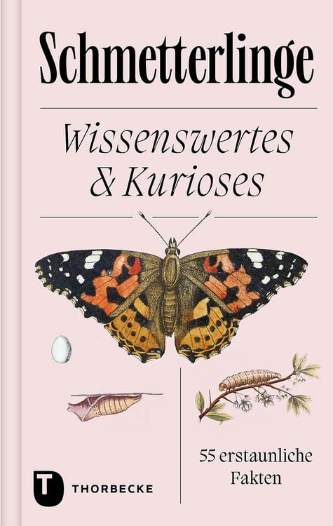 Produktbild: Schmetterlinge