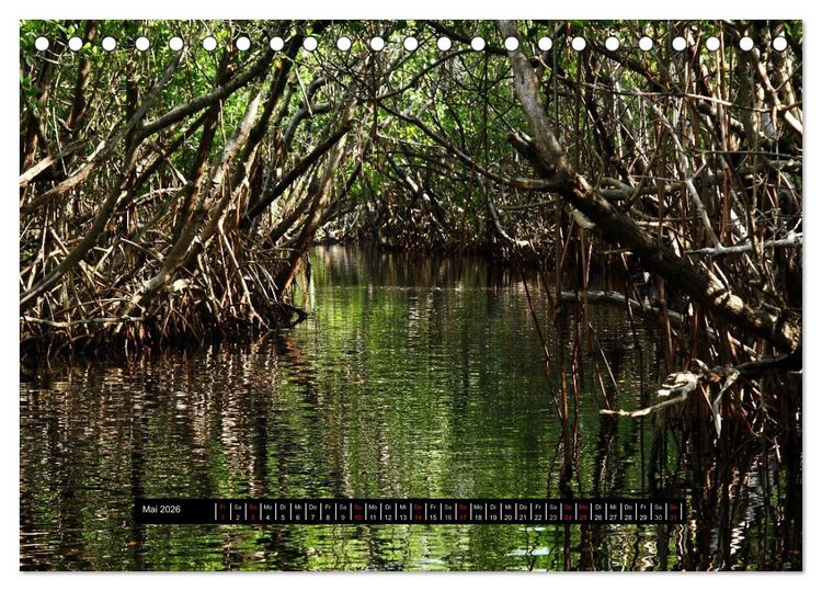 Produktbild: Florida Impressionen (Tischkalender 2026 DIN A5 quer), CALVENDO Monatskalender