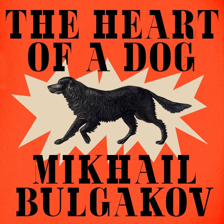 Produktbild: The Heart of a Dog