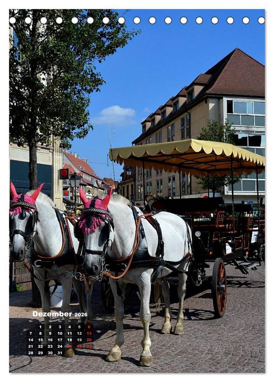 Produktbild: Colmar - Zauberhafte Stadt im Elsass (Tischkalender 2026 DIN A5 hoch), CALVENDO Monatskalender