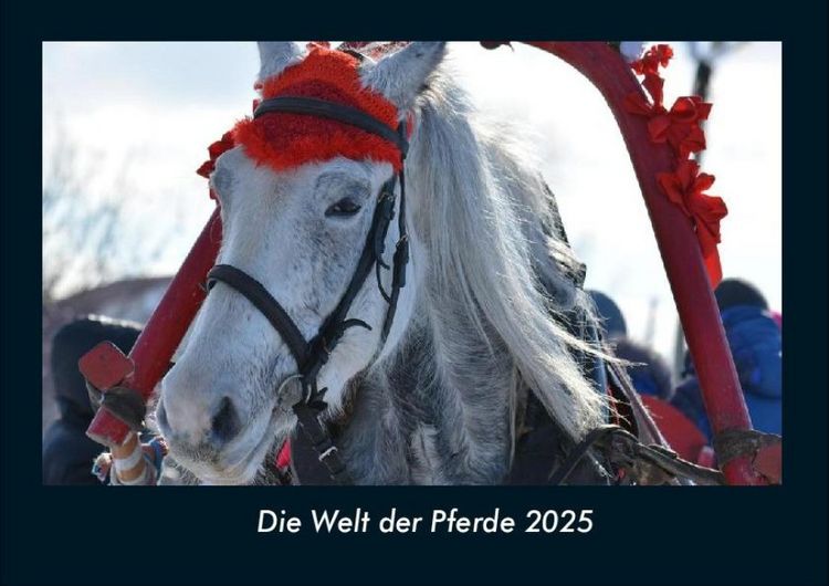 Produktbild: Die Welt der Pferde 2025 Fotokalender DIN A4