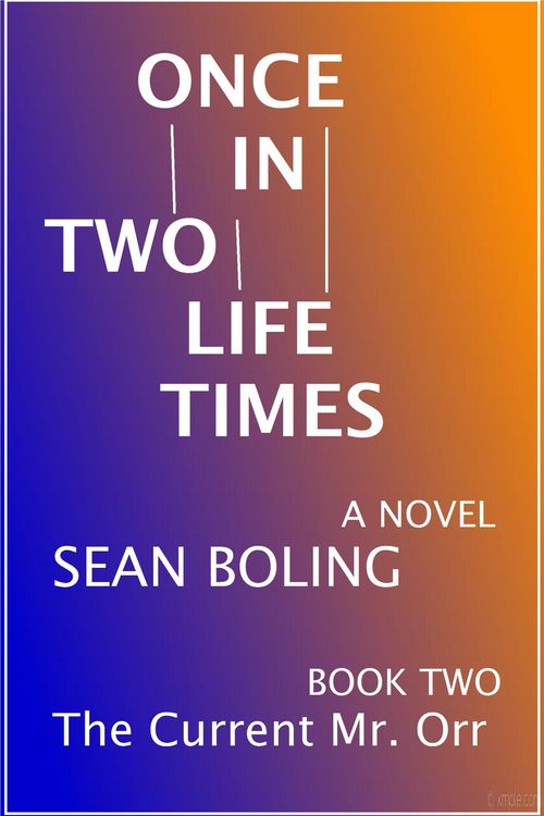 Produktbild: Once in Two Lifetimes (The Current Mr. Orr, #2)