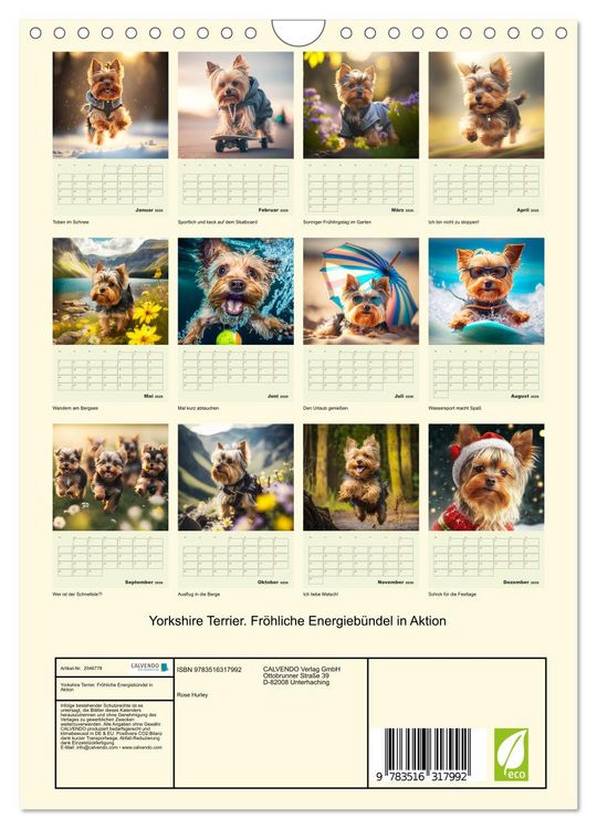 Produktbild: Yorkshire Terrier. Fr&ouml;hliche Energieb&uuml;ndel in Aktion (Wandkalender 2026 DIN A4 hoch), CALVENDO Monatskalender