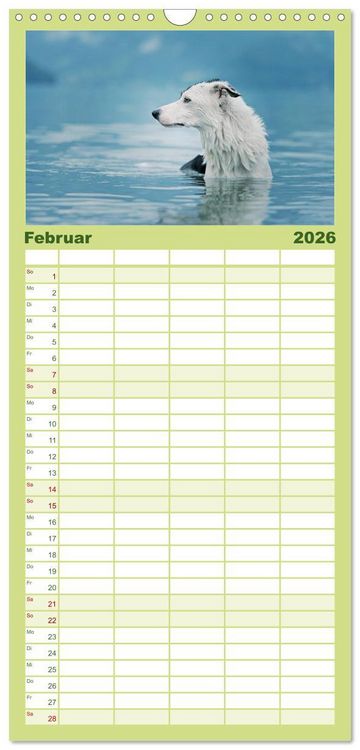 Produktbild: Familienplaner 2026 - Der Bordercollie-Kalender mit 5 Spalten (Wandkalender, 21 x 45 cm) CALVENDO