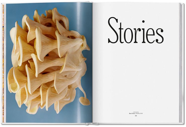 Produktbild: The Gourmand's Mushroom