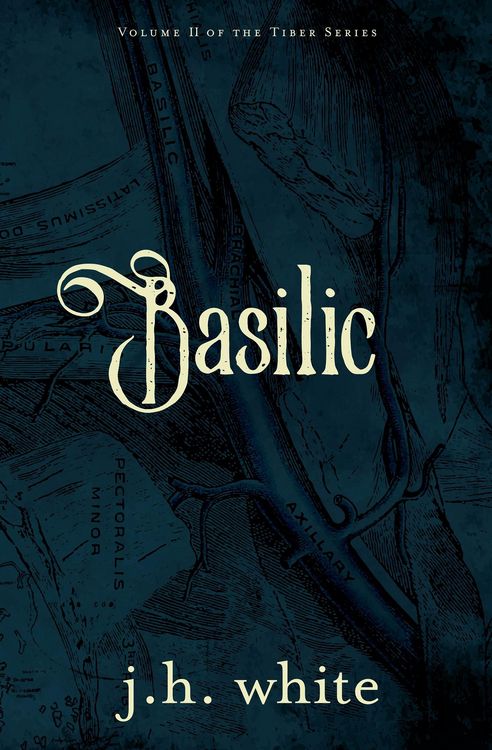 Produktbild: Basilic