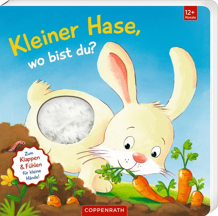 Produktbild: Mein 1. Guckloch-Fühlbuch: Kl. Hase, wo bist du? (Fühlen&b.)
