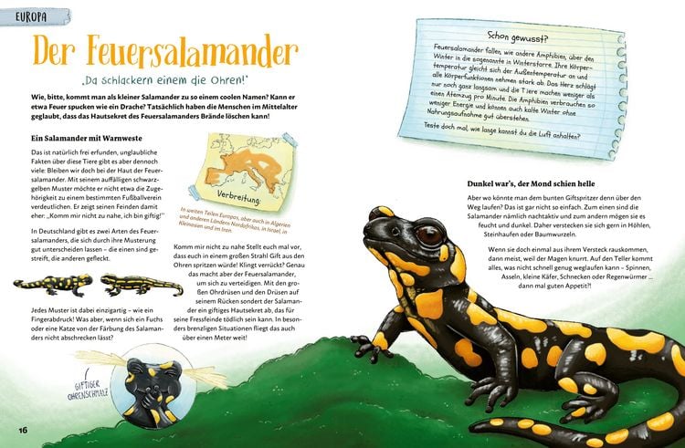 Produktbild: Mein Bestiarium der au&szlig;ergew&ouml;hnlichsten Tiere