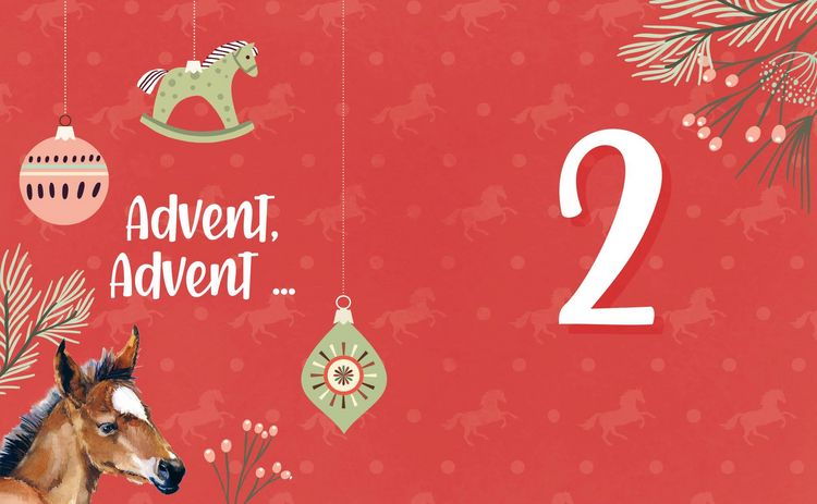 Produktbild: # ponylife &ndash; Mein Adventskalenderbuch &ndash; Von Lia und Lea