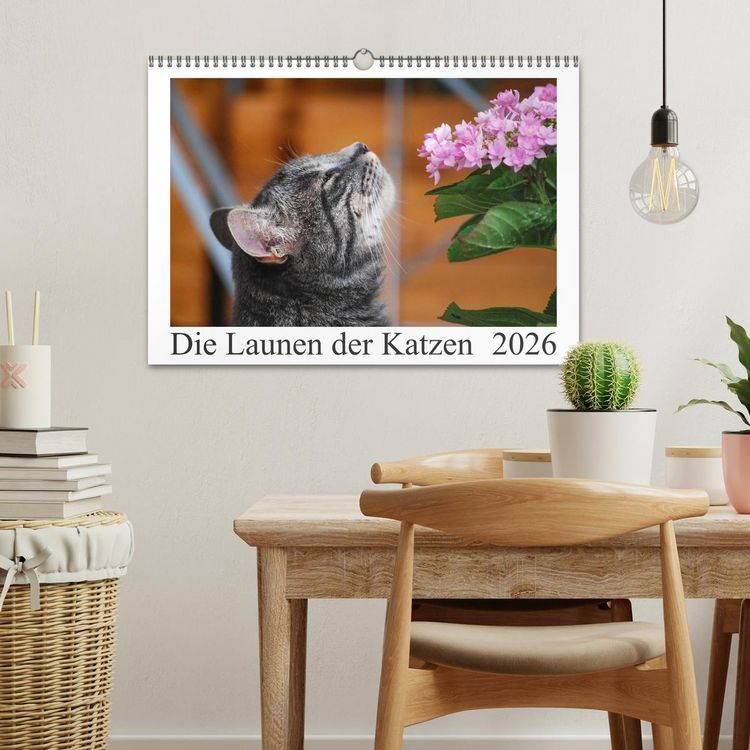 Produktbild: Die Launen der Katzen 2026 (Wandkalender 2026 DIN A3 quer), CALVENDO Monatskalender