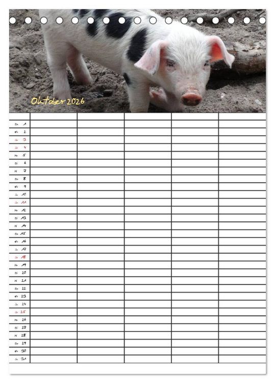 Produktbild: Bauernhoftiere Familienplaner (Tischkalender 2026 DIN A5 hoch), CALVENDO Monatskalender