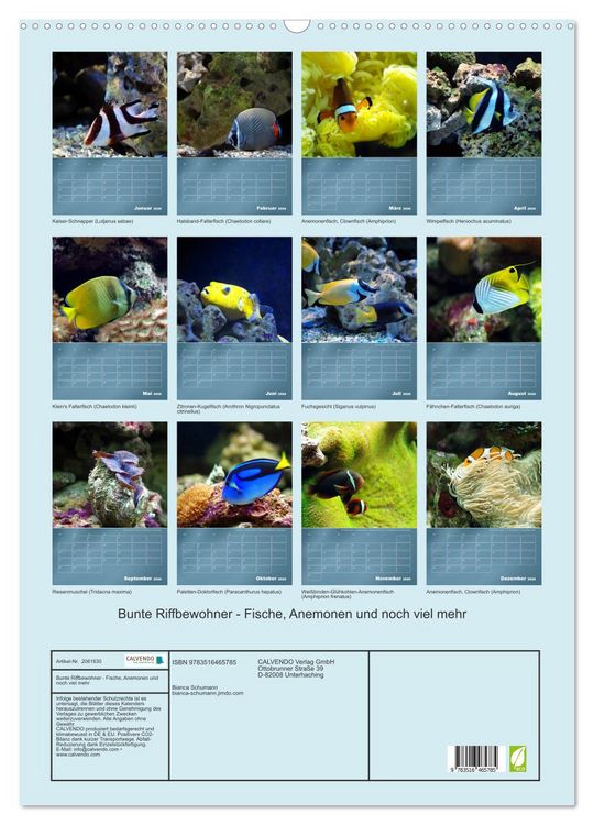 Produktbild: Bunte Riffbewohner - Fische, Anemonen und noch viel mehr (Wandkalender 2026 DIN A2 hoch), CALVENDO Monatskalender