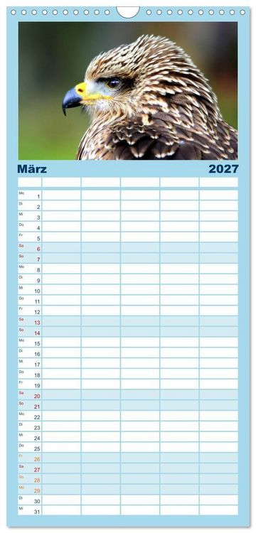 Produktbild: Familienplaner 2027 - Greifv&ouml;gel, Eulen und K&auml;uze mit 5 Spalten (Wandkalender, 21 x 45 cm) CALVENDO