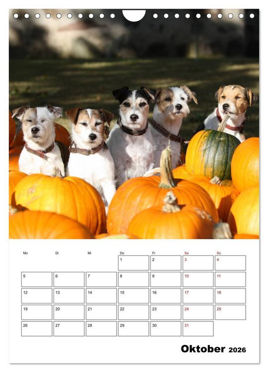 Produktbild: Tender Fellows - Parson Russell Terrier (Wandkalender 2026 DIN A4 hoch), CALVENDO Monatskalender