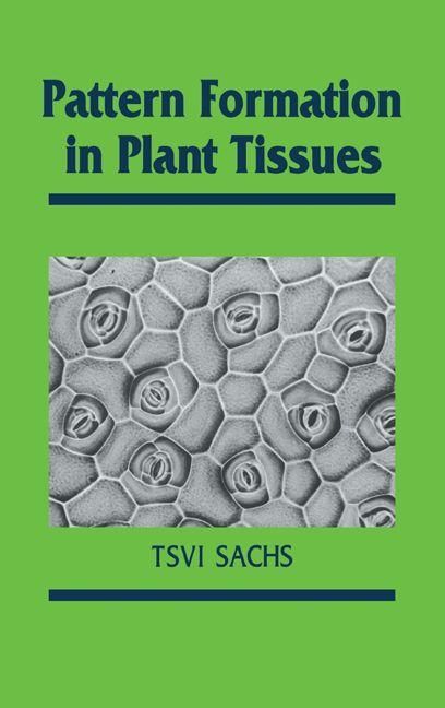 Produktbild: Pattern Formation in Plant Tis