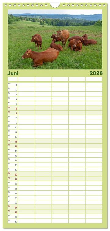 Produktbild: Familienplaner 2026 - Der Harz und sein Vorland mit 5 Spalten (Wandkalender, 21 x 45 cm) CALVENDO