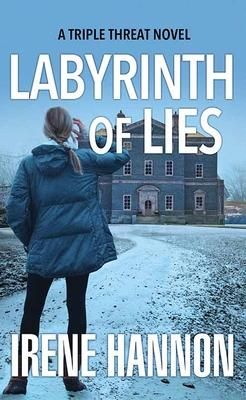 Produktbild: Labyrinth of Lies