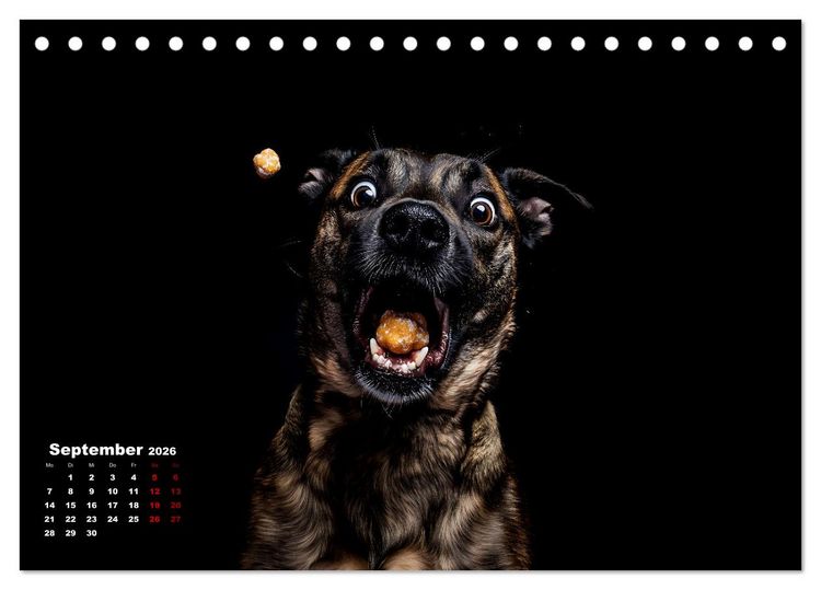 Produktbild: Leckerchen! (Tischkalender 2026 DIN A5 quer), CALVENDO Monatskalender
