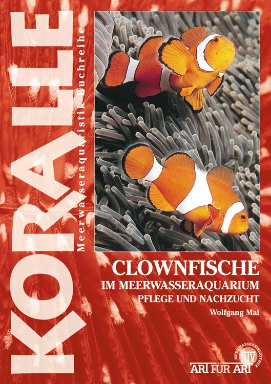Produktbild: Clownfische Im Meerwasseraquarium