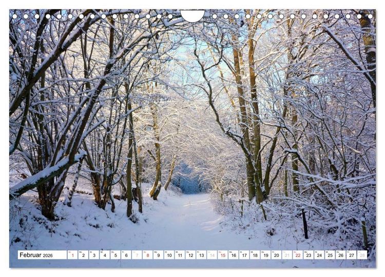 Produktbild: Traumhafte Wege durch die Eifel (Wandkalender 2026 DIN A4 quer), CALVENDO Monatskalender