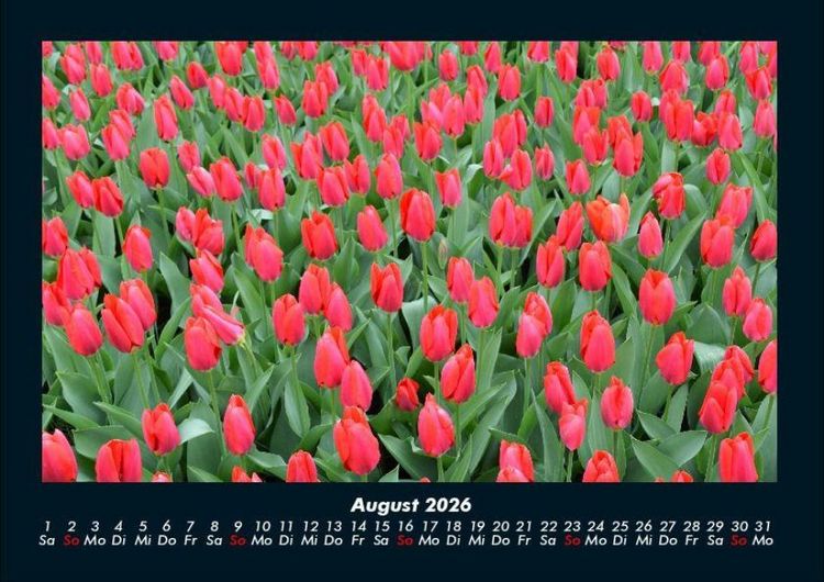 Produktbild: Blumenzauber 2026 Fotokalender DIN A4