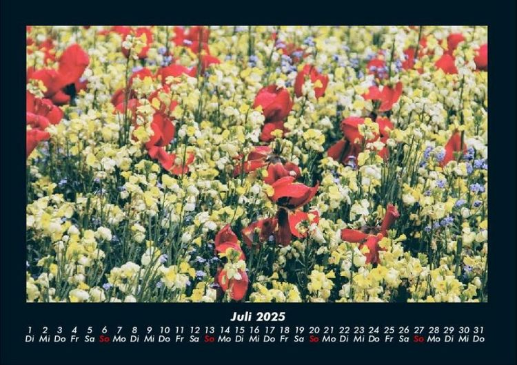 Produktbild: Blumenträume 2025 Fotokalender DIN A4