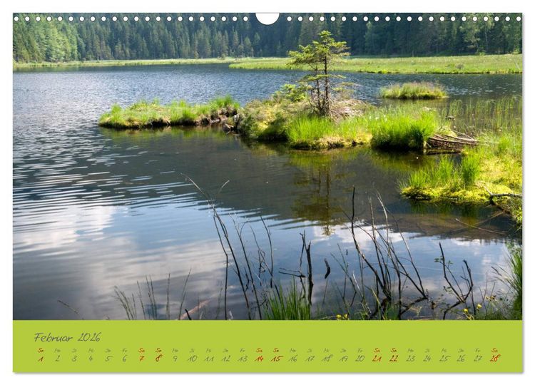 Produktbild: Der Bayerische Wald (Wandkalender 2026 DIN A3 quer), CALVENDO Monatskalender