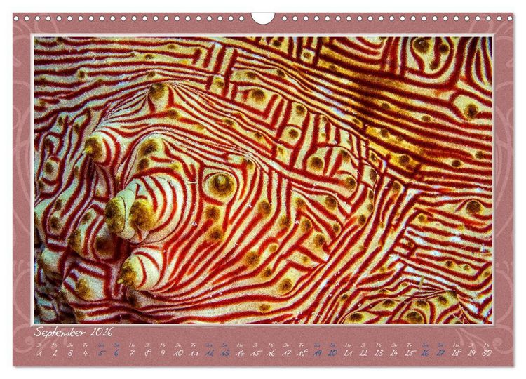 Produktbild: Unterwasser Kunstwerke (Wandkalender 2026 DIN A3 quer), CALVENDO Monatskalender
