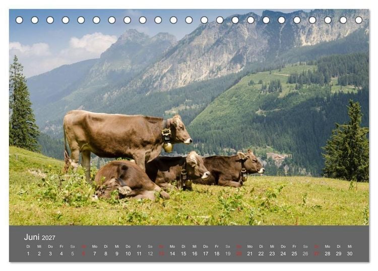 Produktbild: Tannheimer Tal (Tischkalender 2027 DIN A5 quer), CALVENDO Monatskalender