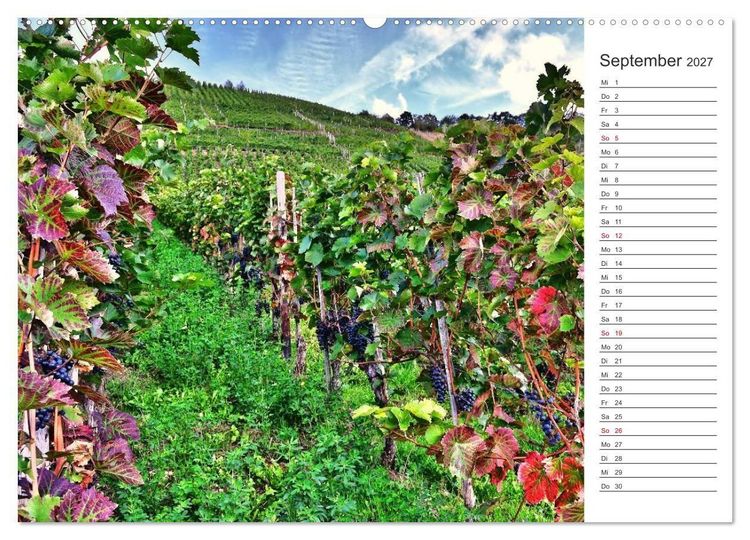 Produktbild: Bildsch&ouml;n - Die Mosel (Wandkalender 2027 DIN A2 quer), CALVENDO Monatskalender