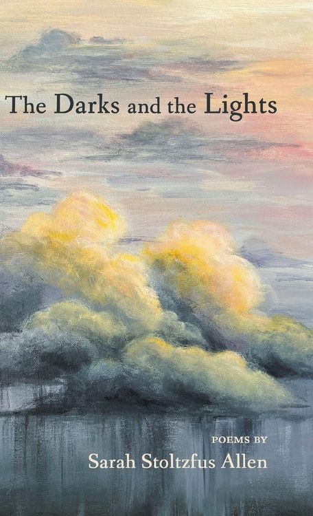 Produktbild: The Darks and the Lights