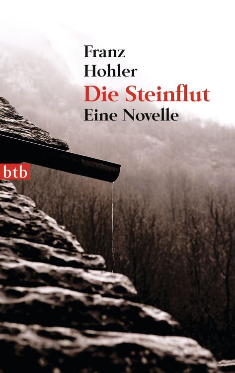 Produktbild: Die Steinflut
