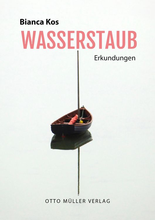Produktbild: Wasserstaub